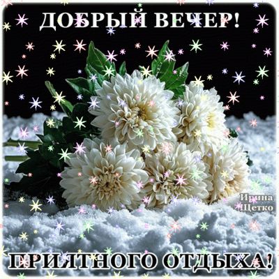 Открытка «Добрый вечер и пожелания»: Добрый вечер: Букет белых цветов на зимнем снегу. Тэги: Добрый зимний вечер…