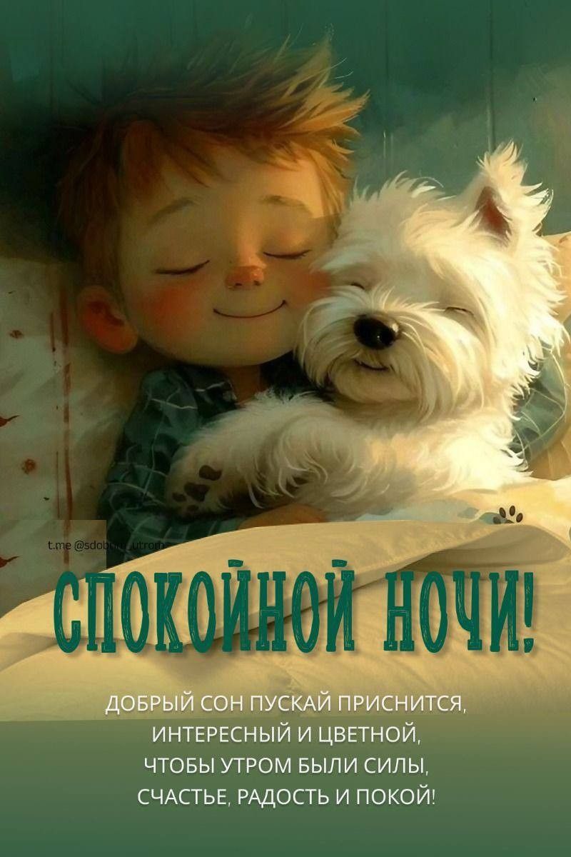 Открытка «Спокойной ночи»: Спокойной ночи: Милый мальчик и белая собака. Тэги: пожелание, радость, мультяшка, утро…