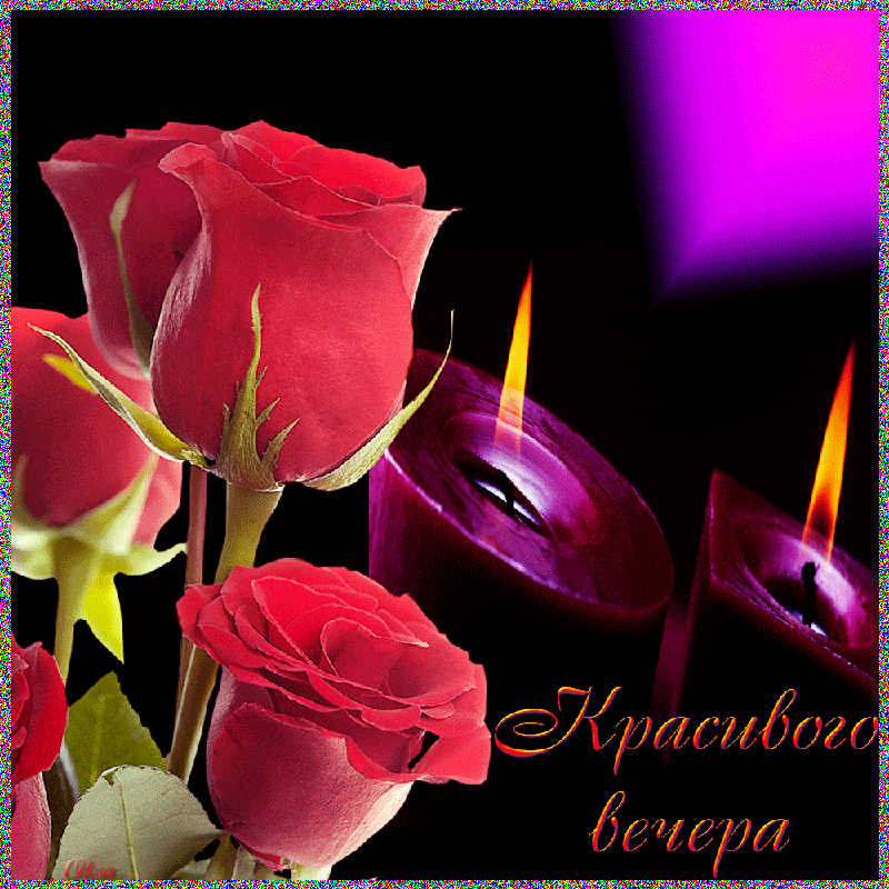Открытка «Добрый вечер и пожелания»: Открытка «Красивого вечера»: алые розы и свечи. Тэги: Добрый вечер красивые…