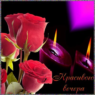 Открытка «Добрый вечер и пожелания»: Открытка «Красивого вечера»: алые розы и свечи. Тэги: Добрый вечер красивые…