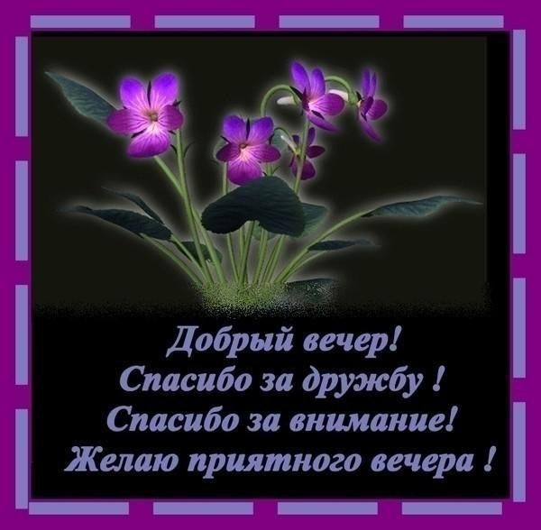 Открытка «Классный»: Добрый вечер: фиалки и благодарность за дружбу. Тэги: проза, советский, анимационный, философский…