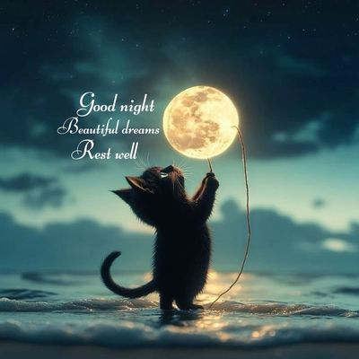 Открытка «Доброй ночи»: Доброй ночи с милым черным котенком.