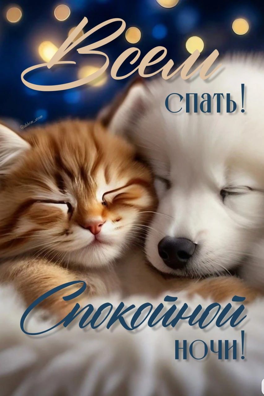 Открытка «Спокойной ночи»: Спокойной ночи: умилительные зверята засыпают. Тэги: Спокойной ночи, красивые, Спокойной н…
