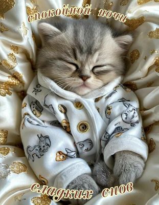 Открытка «Спокойной ночи»: Спокойной ночи: Сладких снов с милым котом. Тэги: Спокойной ночи, красивые, Спокойной ночи…