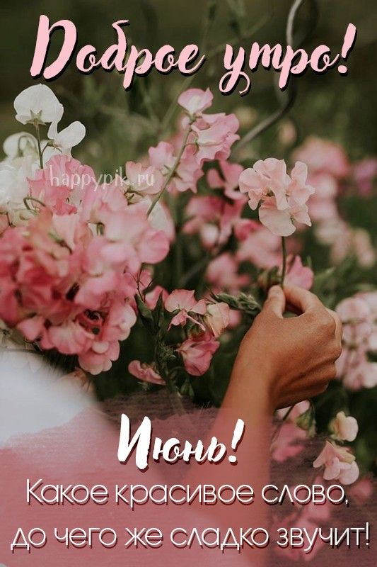 Открытка «С добрым утром»: Доброе утро: Июнь и нежные цветы. Тэги: С добрым, летним утром, С добрым утром, женщине…