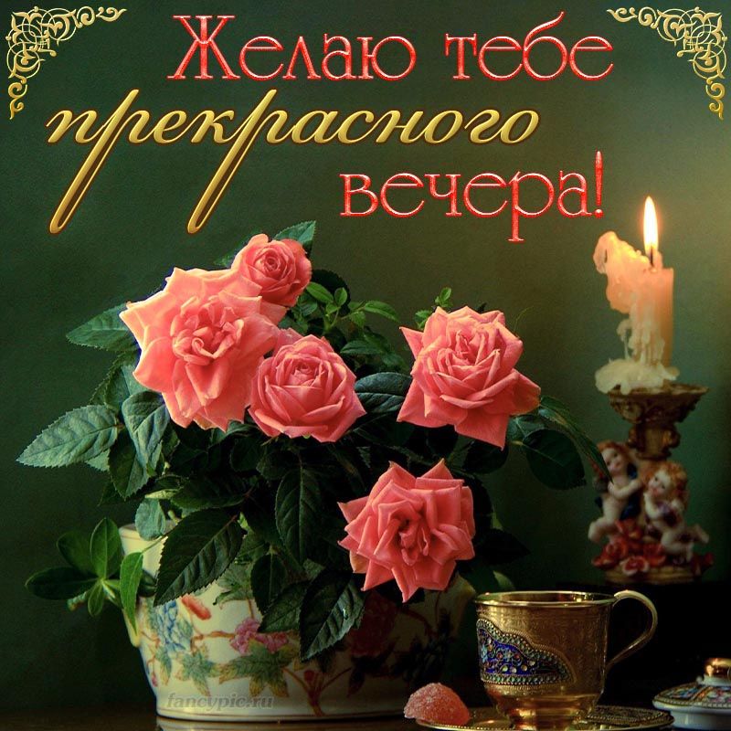 Открытка «Пожелание»: Добрый вечер: красивое пожелание с розами. Тэги: чашка, красивый, нежный, отдых, роза, цветок…