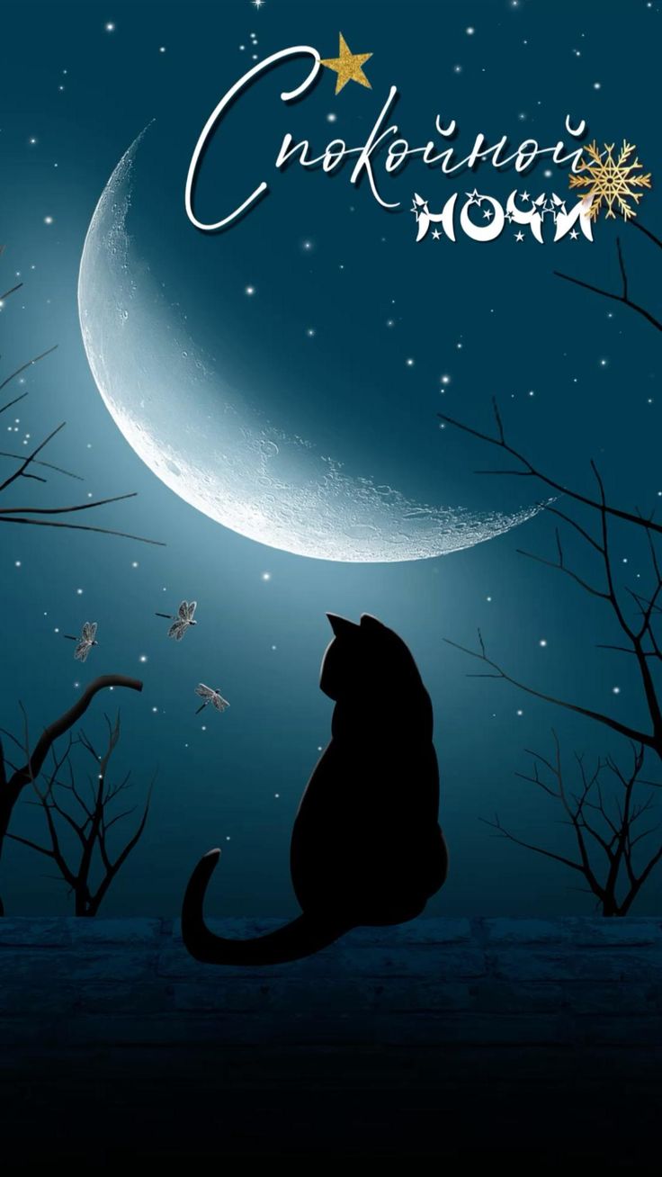 Открытка «Спокойной ночи»: Спокойной ночи: кот смотрит на луну. Тэги: Спокойной ночи, красивые, Спокойной ночи…