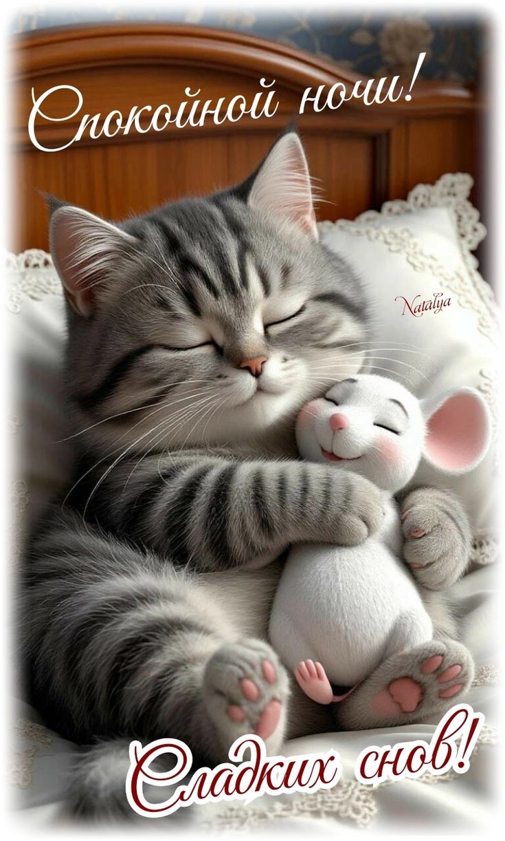 Открытка «Спокойной ночи»: Спокойной ночи: милая открытка с котом и мышкой. Тэги: Спокойной ночи, красивые, Спокойной…