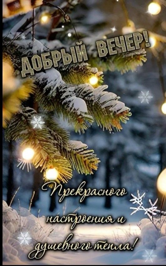 Открытка «Добрый вечер и пожелания»: Добрый вечер: «Уютная зима с еловыми ветками». Тэги: Добрый зимний вечер, Добрый…