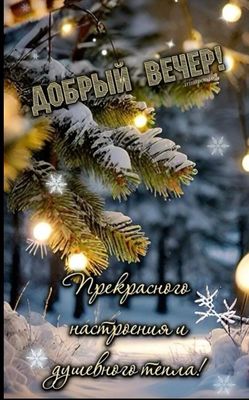 Открытка «Добрый вечер и пожелания»: Добрый вечер: «Уютная зима с еловыми ветками». Тэги: Добрый зимний вечер, Добрый…