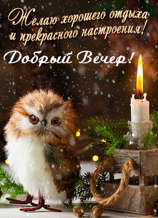 Открытка «Добрый вечер и пожелания»: Добрый вечер: «Милая сова у свечи». Тэги: Добрый зимний вечер, Добрый вечер крас…