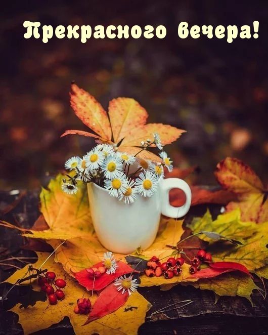 Открытка «Добрый вечер и пожелания»: Добрый вечер: открытка «Прекрасного вечера». Тэги: Добрый вечер красивые, Доброг…