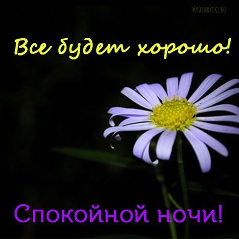 Открытка «Спокойной ночи»: Спокойной ночи: Трогательная открытка «Все будет хорошо!». Тэги: Спокойной ночи, красивые…