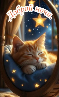 Открытка «Доброй ночи»: Доброй ночи: «Милый кот» и звездное небо.