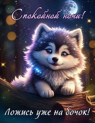 Открытка «Спокойной ночи»: Спокойной ночи! Милый волчонок на лунном фоне. Тэги: бок, Спокойной ночи, с животными…