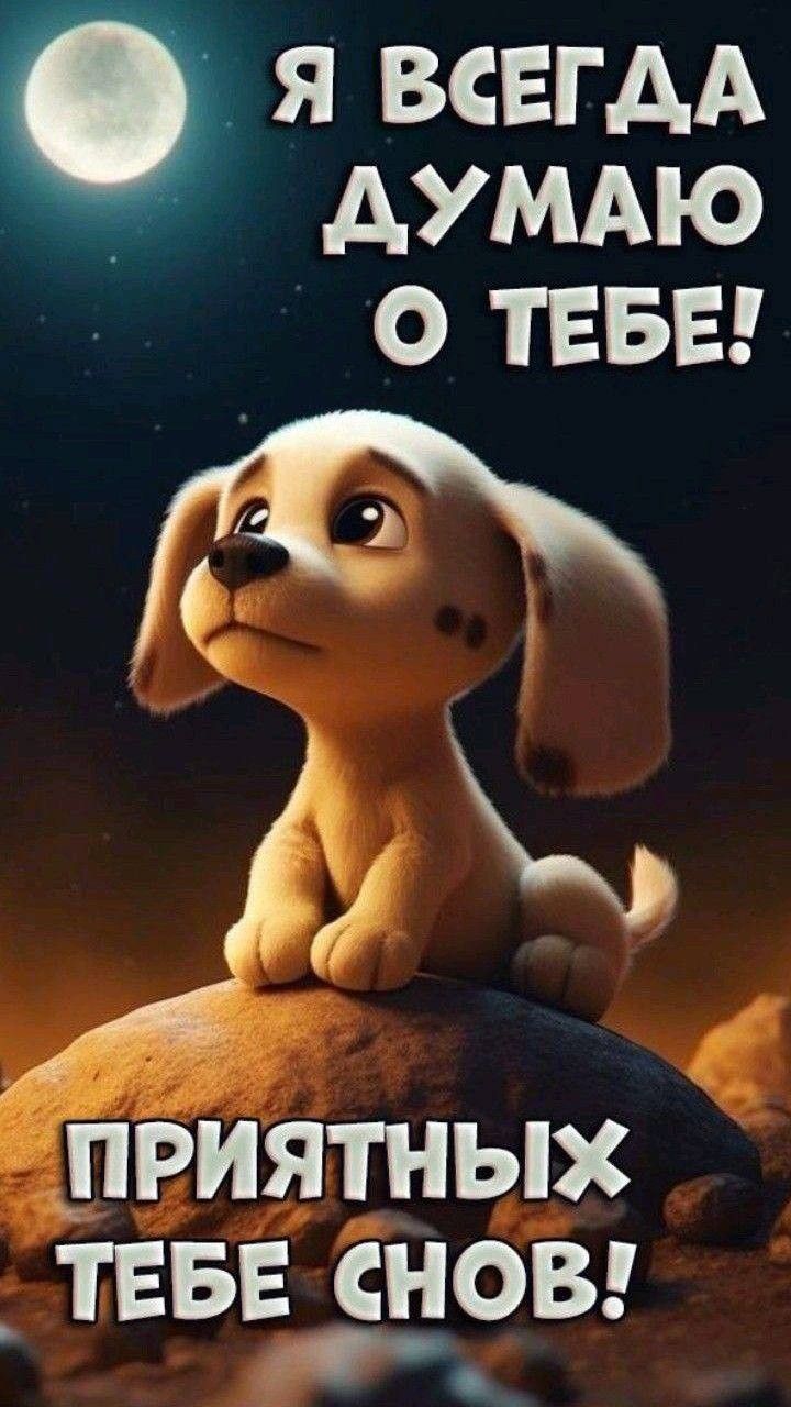 Открытка «Доброй ночи»: Доброй ночи: милый щенок думает о тебе.