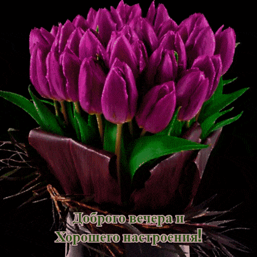Открытка «Добрый вечер и пожелания»: Доброго вечера и Хорошего настроения: Букет из тюльпанов. Тэги: Добрый вечер кра…
