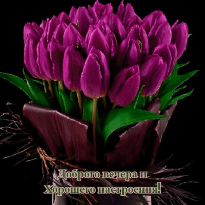 Открытка «Пожелание»: Доброго вечера и Хорошего настроения: Букет из тюльпанов. Тэги: настроение, женщина, друг…