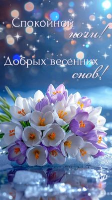 Открытка «Спокойной ночи»: Спокойной ночи: «Добрых весенних снов» с крокусами. Тэги: Спокойной ночи, красивые, Спокой…