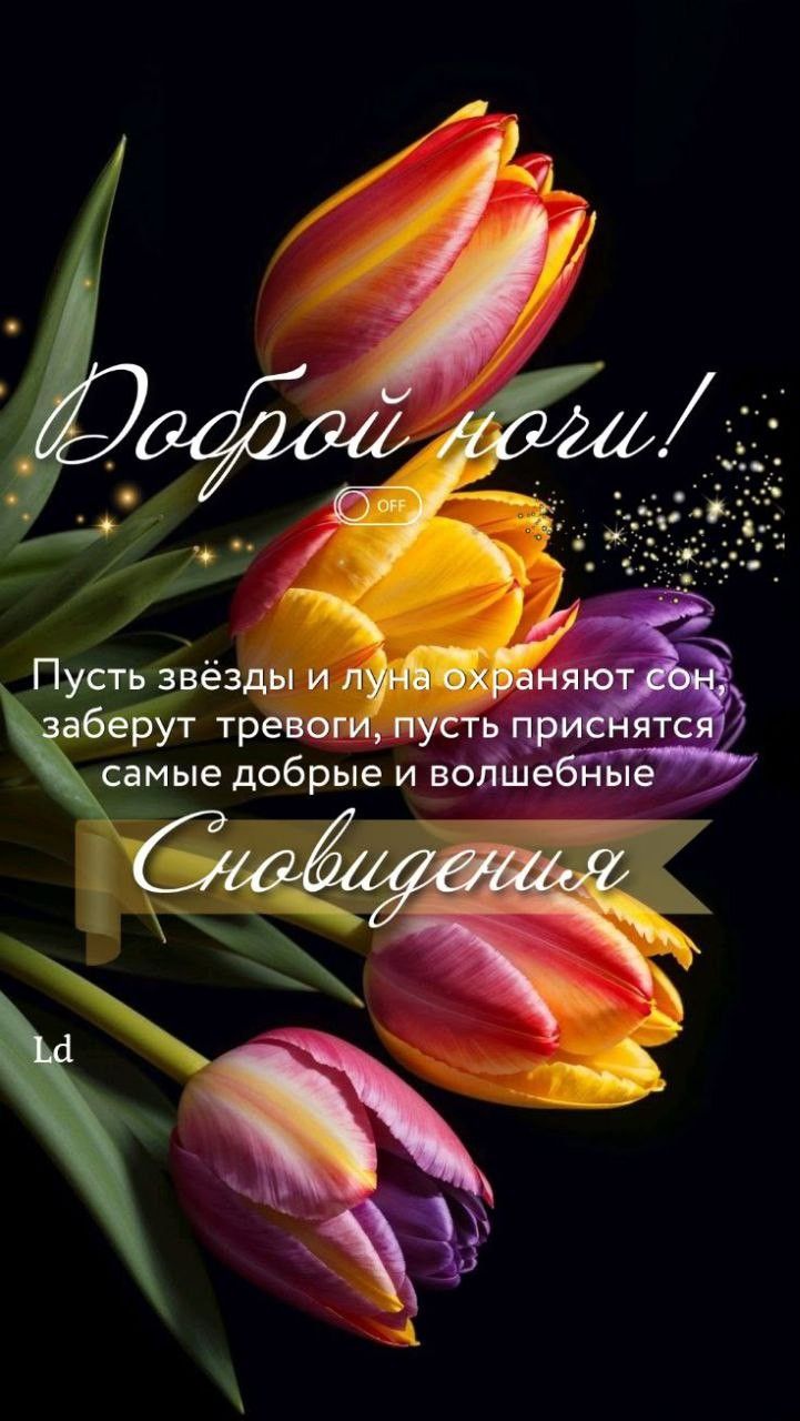 Открытка «Доброй ночи»: Доброй ночи: «Пусть приснятся добрые сновидения». Тэги: Спокойной ночи, Спокойной ночи…