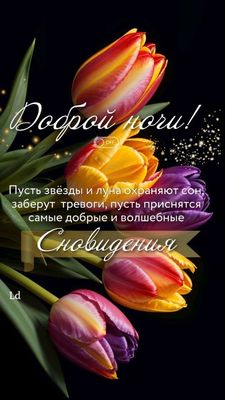 Открытка «Доброй ночи»: Доброй ночи: «Пусть приснятся добрые сновидения». Тэги: Спокойной ночи, Спокойной ночи…