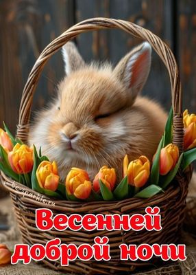 Открытка «Доброй ночи»: Весенней доброй ночи: милый зайчик в корзинке с цветами.