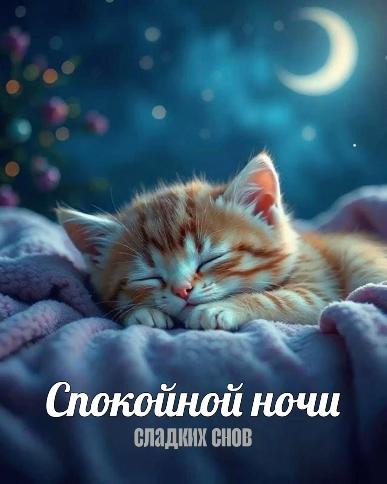 Открытка «Спокойной ночи»: Спокойной ночи: милая открытка со спящим котёнком. Тэги: Спокойной ночи, с пожеланиями…