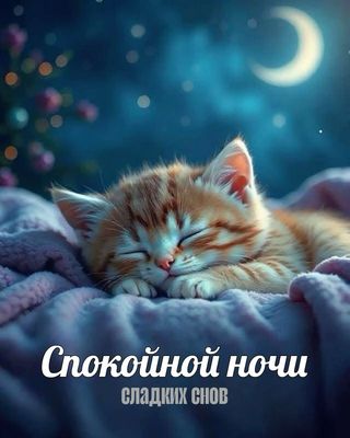 Открытка «Спокойной ночи»: Спокойной ночи: милая открытка со спящим котёнком. Тэги: Спокойной ночи, с пожеланиями…