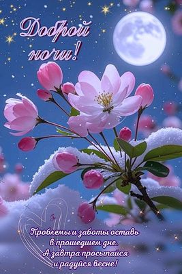 Открытка «Доброй ночи»: Доброй ночи: «Розовая ветка под снегом и луна».