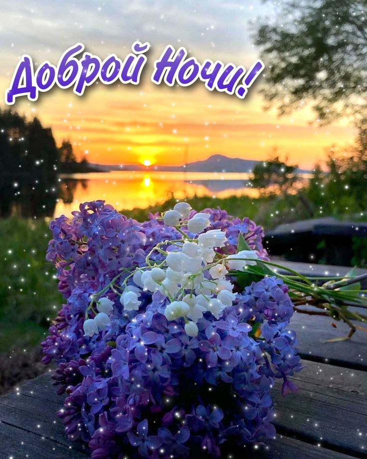 Открытка «Доброй ночи»: Доброй ночи: красивый букет цветов на фоне заката.