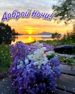 Открытка «Доброй ночи»: Доброй ночи: красивый букет цветов на фоне заката.