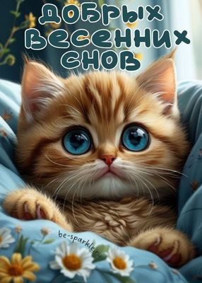 Открытка «Доброй ночи»: Пожелание добрых весенних снов с милым котом.