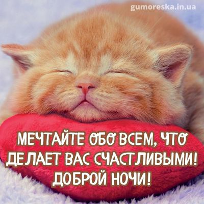 Открытка «Доброй ночи»: Мечтайте на ночь: милый рыжий кот и сердце.
