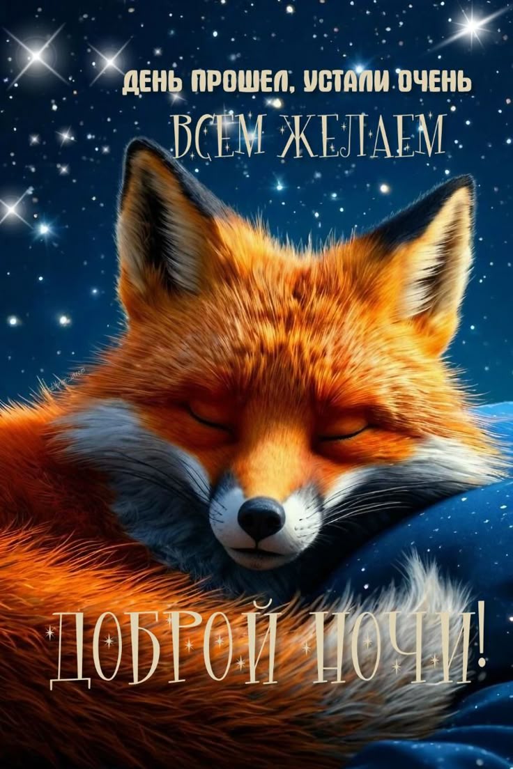 Открытка «Доброй ночи»: Доброй ночи: лис спит на фоне звезд.