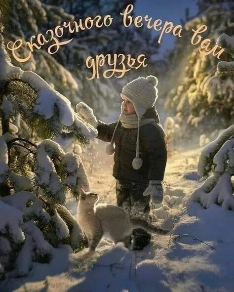 Открытка «Добрый вечер и пожелания»: Добрый вечер: Зимняя сказка: Мальчик, кот и магия. Тэги: Добрый зимний вечер…