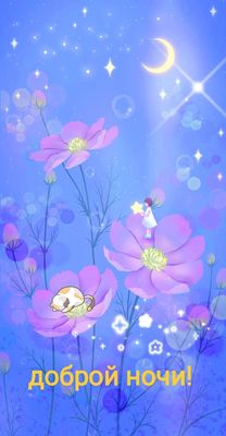 Открытка «Доброй ночи»: Доброй ночи: Сказочная открытка со спящим котом.