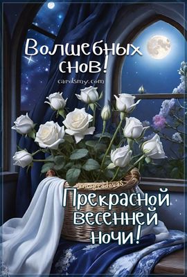 Открытка «Доброй ночи»: Доброй ночи: Волшебных снов с белыми розами.