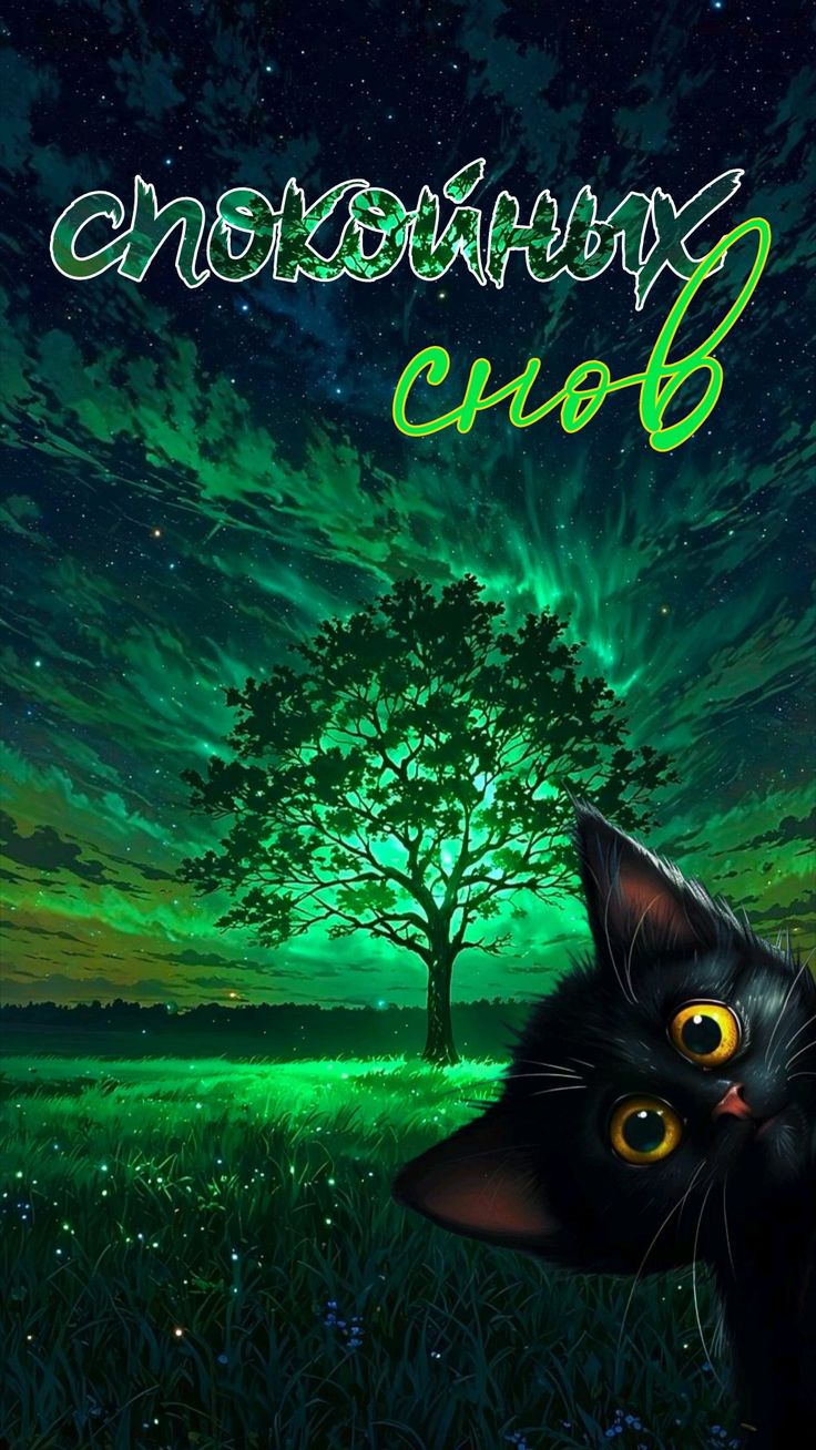 Открытка «Доброй ночи»: Доброй ночи: Мистический черный кот и северное сияние. Тэги: Спокойной ночи, Спокойной ночи…
