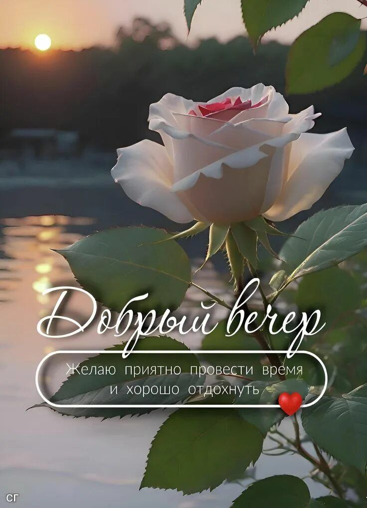 Открытка «Добрый вечер и пожелания»: Добрый вечер: пожелание с красивой розой на закате. Тэги: Добрый вечер красивые…