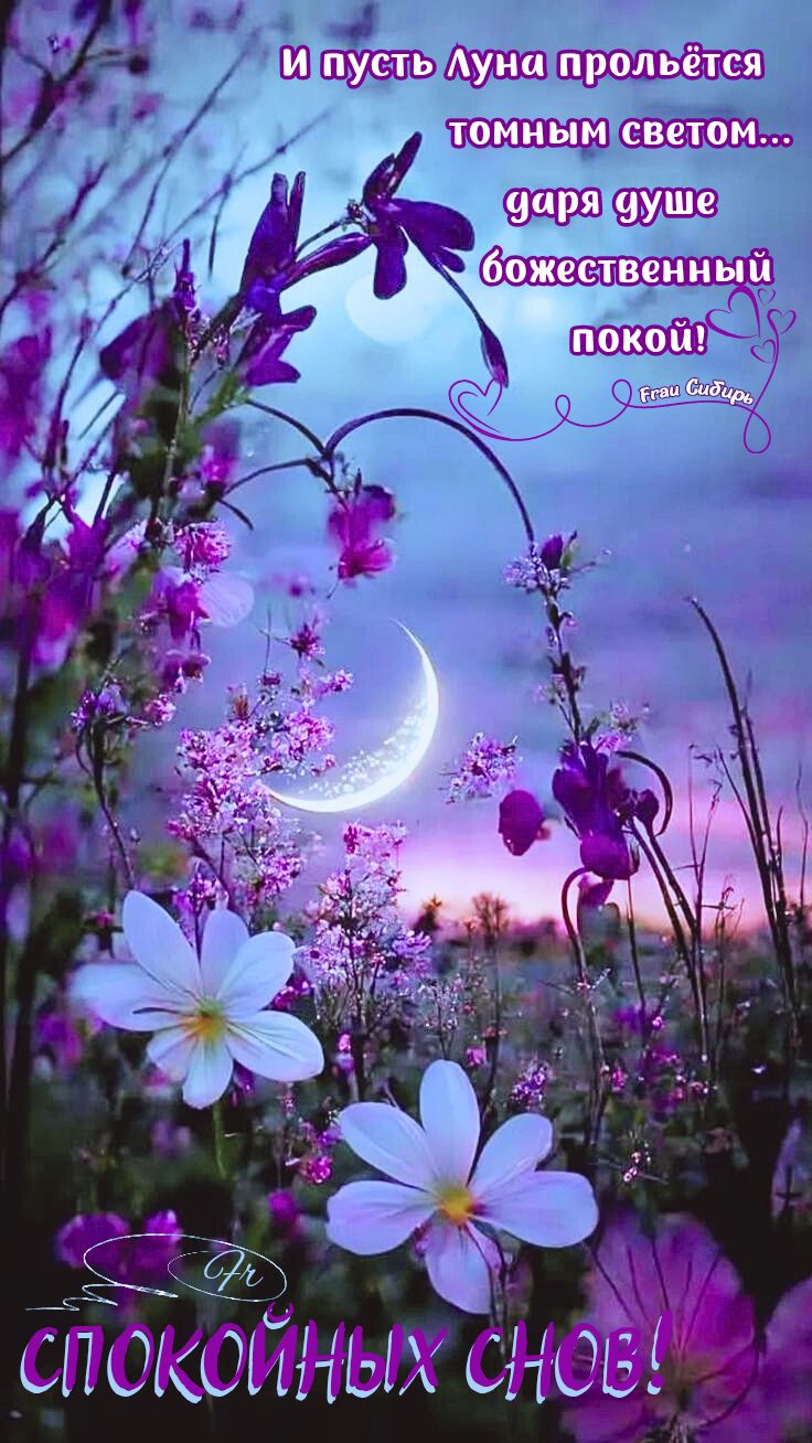 Открытка «Спокойной ночи»: Спокойной ночи: открытка с луной и цветами. Тэги: Спокойной ночи, красивые, Спокойной ночи…