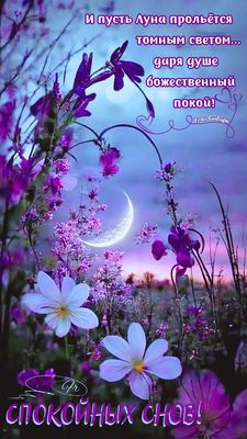 Открытка «Спокойной ночи»: Спокойной ночи: открытка с луной и цветами. Тэги: Спокойной ночи, красивые, Спокойной ночи…