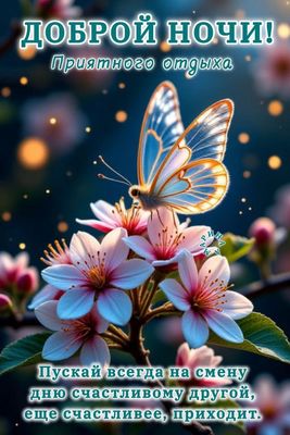 Открытка «Доброй ночи»: Показать «Добрый ночи: Сказочная бабочка на цветах».
