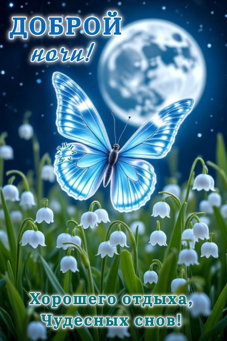 Открытка «Доброй ночи»: Доброй ночи: Волшебная синяя бабочка и луна.