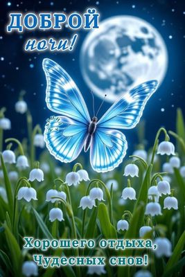 Открытка «Доброй ночи»: Доброй ночи: Волшебная синяя бабочка и луна.