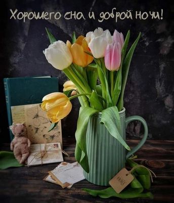 Открытка «Доброй ночи»: Доброй ночи: Нежный букет тюльпанов.