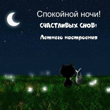 Открытка «Спокойной ночи»: Спокойной ночи! Счастливых снов и летнего настроения. Тэги: Спокойной ночи, с пожеланиями…