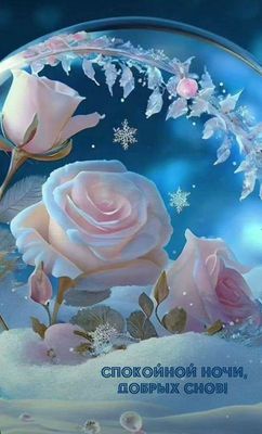 Открытка «Спокойной ночи»: Спокойной ночи: Нежные розы и зимнее волшебство. Тэги: Спокойной ночи, красивые, Спокойной…