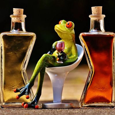 Открытка «Для поднятия настроения»: Добрый вечер: «Отдыхающая лягушка с вином». Тэги: Добрый вечер и пожелания…