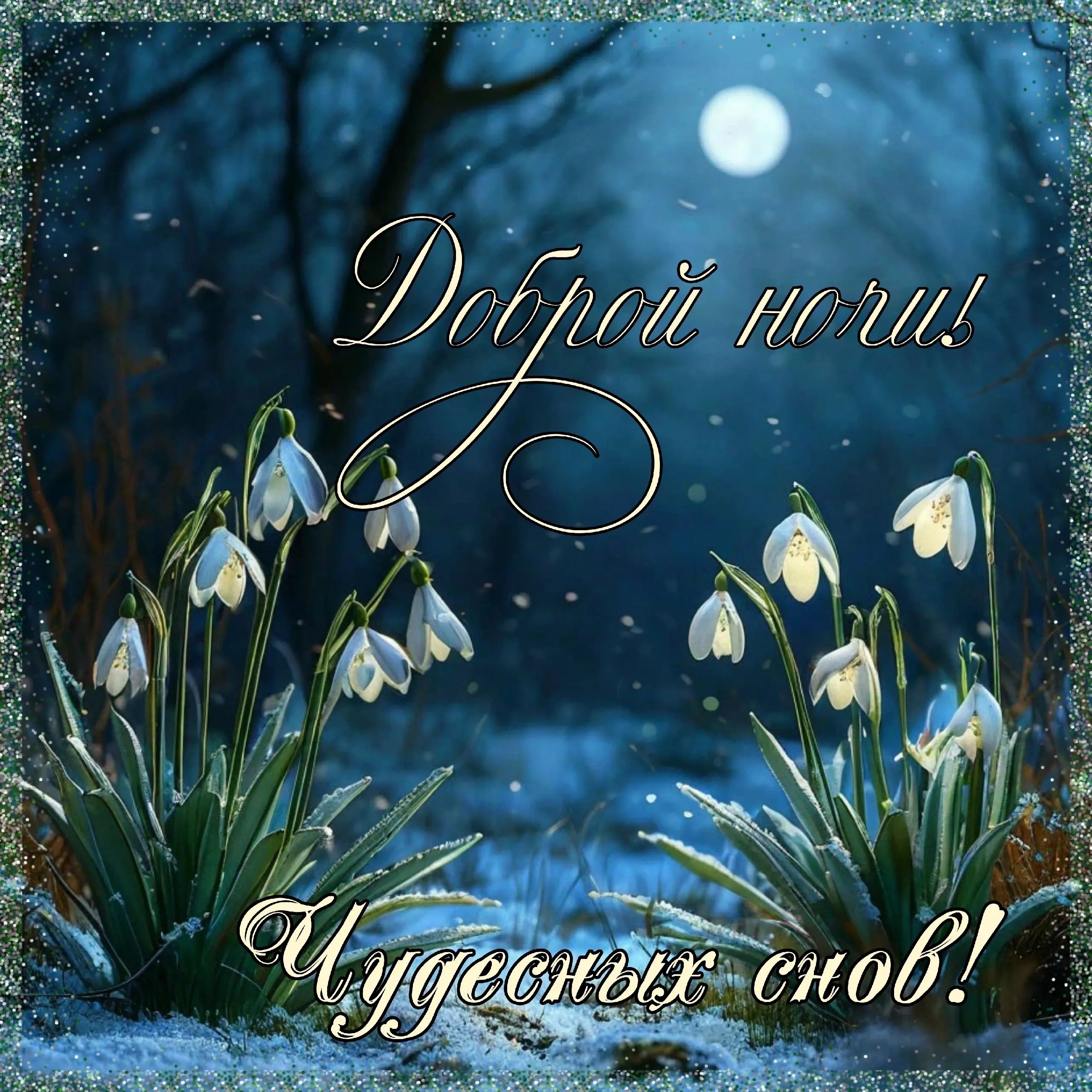 Открытка «Доброй ночи»: Доброй ночи! Чудесных снов со снежными подснежниками.