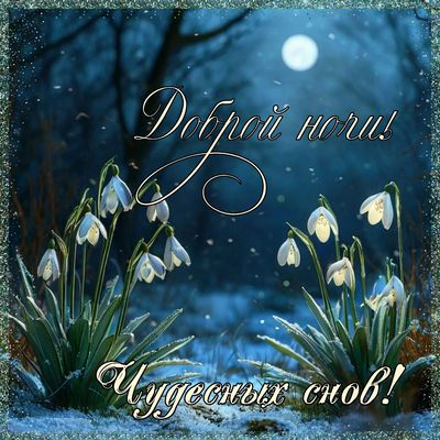 Открытка «Доброй ночи»: Доброй ночи! Чудесных снов со снежными подснежниками.